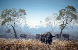 Sold Matthew Calitz South African Artist