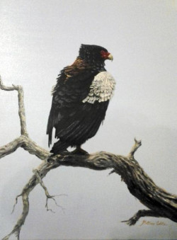 Sold matthew_calitz_artwork